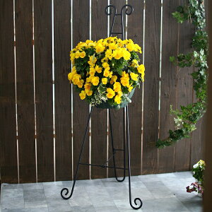 t[X^h nMO pyVvnC X^hSz93cm ^  ܂肽ݎ O nMOoXPbg 񂹐A ACA K[fjOG  oXPbg v^[