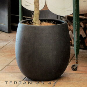 Aؔ ^ ejAX o[ 42yEB-TB4242z TERRANIAS  ^  Aؔ K[fjO |bg v^[ t@Co[Zg