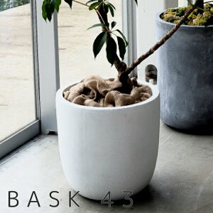 Aؔ ^ oXN Eh 43yGA-0343z BASK  ^  Aؔ K[fjO |bg v^[ t@Co[NC