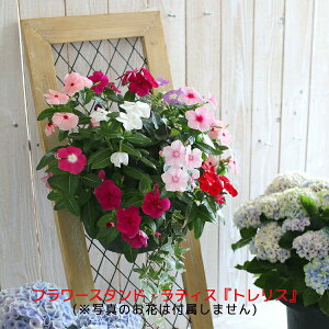 ラティス ハンギング フラワースタンドの人気商品 通販 価格比較 価格 Com