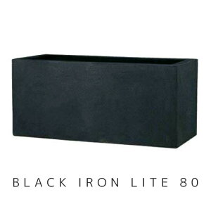 Aؔ ^ BL LX 80yEB-18062731zBLACK IRON LITE  ^  Aؔ K[fjO |bg v^[ FRP