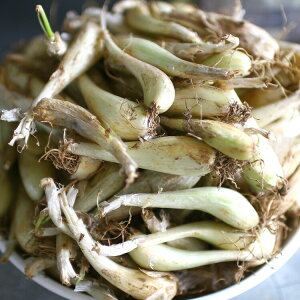 u bLE 1kg(錧Yj퍪v Y 傤   bL 퍪 c ƒ؉