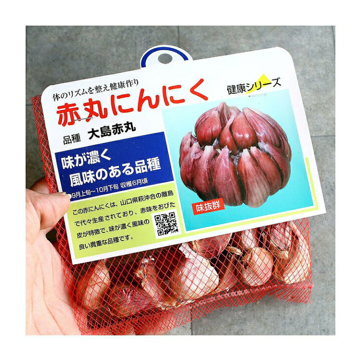 楽天市場 赤丸ニンニク 山口県産 種子 10リン片 国産 にんにく 種 ニンニク 種子 種 苗 家庭菜園 苗 花うるる 花でうるおう毎日