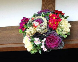 楽天市場 正月 寄せ植えの通販