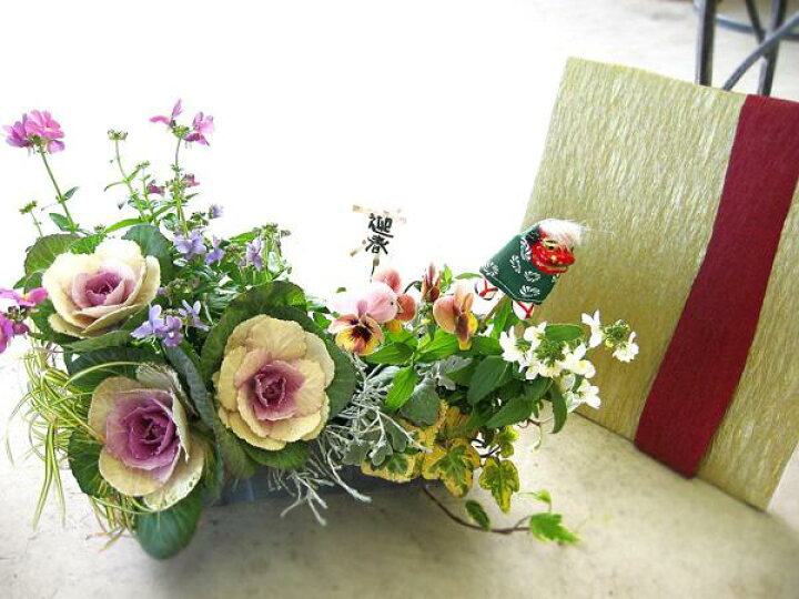 楽天市場 ミニトレー寄せ植えのみ 入れ替え用 ミニ花はなフレームのお正月寄せ植え 花鳥風月 Mini お正月飾り 寄せ植え 交換用 花うるる 花でうるおう毎日