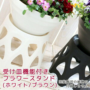 t[X^h  󂯎M @\t(a19cm 21cmjO  񂹐A K[fjOG  oXPbg v^[ ԑ䃉bN X^h ԑ ˑ  Ǌ| v^[X^