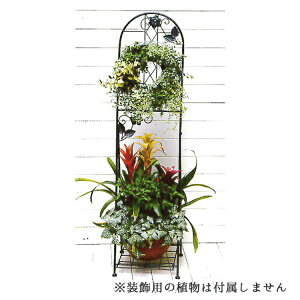 t[X^h nMO pyX^h09z120cm^  ܂肽ݎ O nMOoXPbg 񂹐A ACA K[fjOG  oXPbg v^[ ԑ 