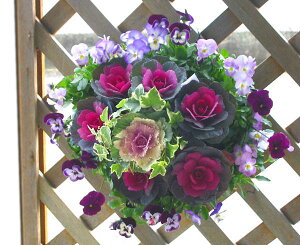  t{^̃nMOoXPbg񂹐A[ڂ댎]MTCYtO rI  ߓ ߏ ߓ O   m  n{^ ɐ ԃA