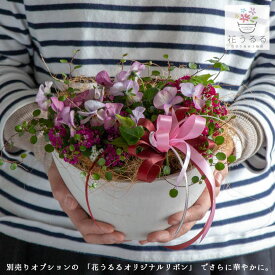 育てるフラワーギフト [花うるるのお試しギャザリング寄せ植え] 【テラmini】(寄せ植え ギフト 手土産 プチギフト 玄関先 鉢植え セット 冬 フラワーギフト 誕生日 プレゼント 女性 友人 50代 60代 70代 花 おしゃれ 内祝い ギャザリング 冬 春 正月1月 2月
