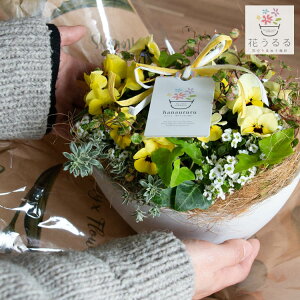 花 寄せ植え ギフトの人気商品 通販 価格比較 価格 Com 花 寄せ植え ギフトの人気商品 通販 価格比較 価格 Com