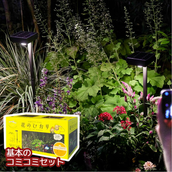 楽天市場】【送料無料】「ひかりノベーション 花のひかり 基本セット 