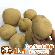 ニシユタカより収量が多く病気に強い！レア品種 今期品薄 じゃがいも 種イモ「アイマサリ 1kg」(長崎県産…