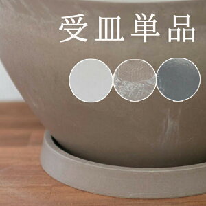 󂯎M 19.1×2.0cm y{^j[v[g25^ 3Fz(Ԃ̃I[_[Ch񂹐A e p 󂯎MjK[fjOG 񂹐A M M 󂯎M