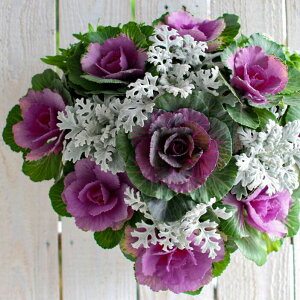  t{^̃nMOoXPbg񂹐A[TUNX]MTCYtO rI  ߓ ߏ ߓ O   m  n{^ ɐ ԃA