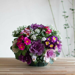  t{^̃nMOoXPbg񂹐A[g(ׂ]MTCYtO rI  ߓ ߏ ߓ O   m  n{^ ɐ ԃAW