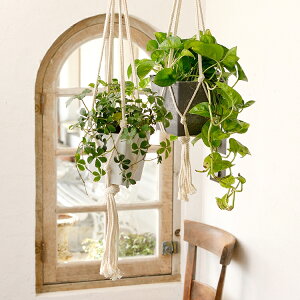 �{�^�j�[ �n���M���O �L���[�u 12�^ �C���e���A�G�� �v�����^�[ �A�ؔ� ���J�o�[ �C���e���A �V���v�� �Ԃ���� ���� �������