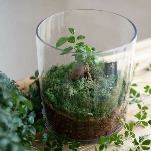  ϗtA [eE-Eh-] (KW}×1) (KX P[X CeA i ϗtA _ ANAE   rO  JXj Vzj ۃE RP