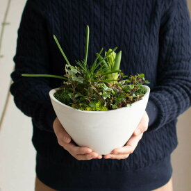 ＼季節限定販売／【送料無料】花うるるアレンジ 春待ち寄せ植え「芽出し球根のミニ寄せ植え」(テラmini球根) (ガーデニング 園芸 春 ギフト 歓送迎 鉢植え 玄関 寄せ植え