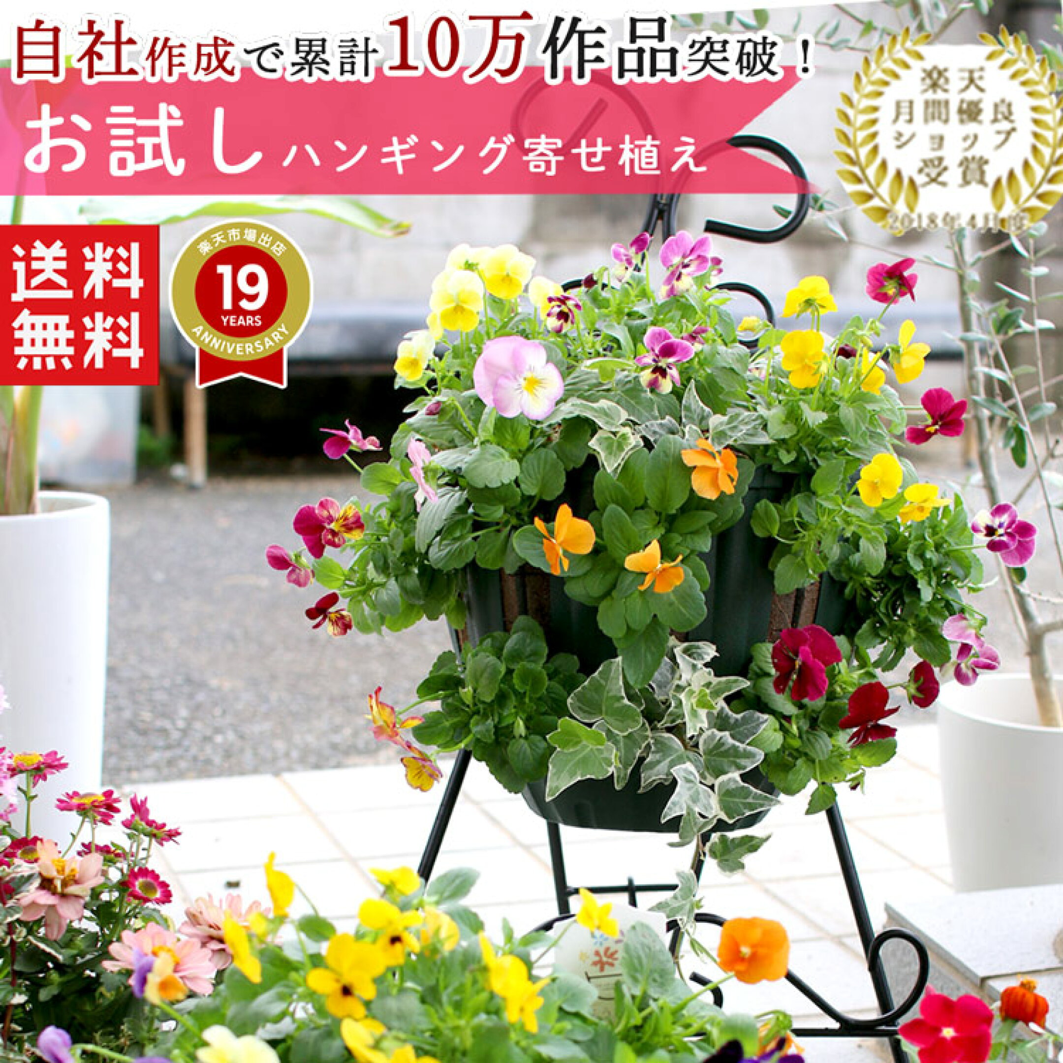 初めての方限定！お試しハンギングバスケット