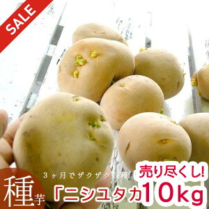 _ŏI s^Ⴊ CujV^J 10kgv(茧Y)_}cR̒mȂEœW^TVłbI󂠂  ΂ꂢ WKC C ƒ؉ c  Ⴊ ĐA