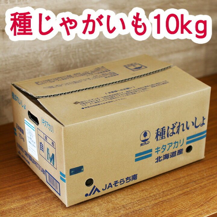 楽天市場】＼最終売り尽くし／じゃがいも 種イモ「デジマ 10kg」(長崎 