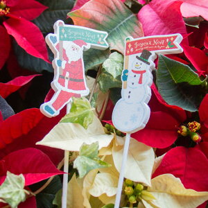 y񂹐AőE[ւOKzNX}X G [ؐ v[g sbN tbO cm1534s S2 T^ Xm[}](Mtg v[g fBXvC IuWF c[ k 