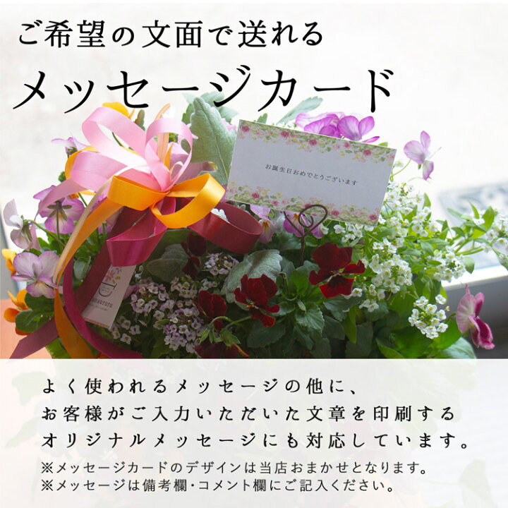 楽天市場】ありきたりな寄せ植えに満足できない方へ [花うるる 