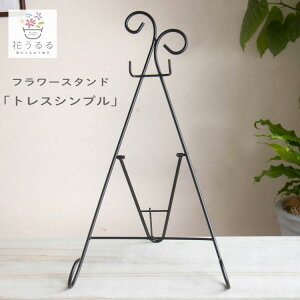 t[X^h nMO pygXVvzOK ܂肽ݎ O nMOoXPbg 񂹐A ACA K[fjOG  oXPbg v^[ ԑ䃉bN X^