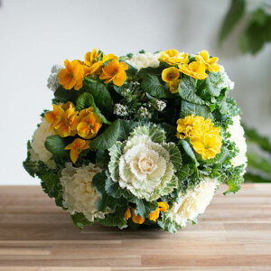  t{^̃nMOoXPbg񂹐A[] MTCYtO rI  ߓ ߏ ߓ O   m  n{^ ɐ ԃAWg 