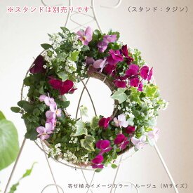 花うるる リース 寄せ植え [シンプルMサイズ]おまかせ&オーダーメイドOK(オーダーメイド セット ギフト 花 鉢 鉢植え 壁掛け ハンギング 通販 プレゼント 花ギフト おしゃれ 珍しい 苗 玄関先 お花 フラワーギフト 誕生日 完成品 花苗 プランター 4月 春 正月1月 2月