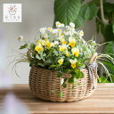 ＼本日最終／3商品購入→ポイント10倍(要エントリー)花うるるアレンジ寄せ植え「ジェミニバスケット ロウ(Sサイズ)」おまかせ オーダーメイド可 かご ミュールミル 花 フラワーギフト 誕生日 プレゼント 女性 母 花 鉢植え 屋外 鉢 クリスマス 正月飾り 冬 12月