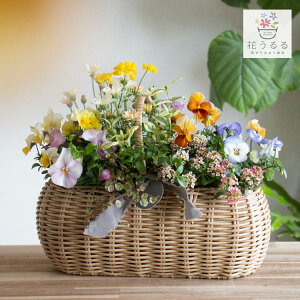 花うるるアレンジ寄せ植え「ジェミニバスケット レク」おまかせ オーダーメイド可 かご ミュールミル 花 ガーデニング 玄関 フラワーギフト 誕生日 プレゼント 女性 母 花 鉢植え ガーデニ