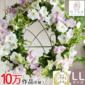 花うるる リース 寄せ植え [シンプル LLサイズ]おまかせ&オーダーメイドOK(オーダーメイド セット ギフト 花 鉢 寄植え 鉢植え 壁掛け ハンギングバスケット 通販 プレゼント 花ギフト おしゃれ 珍しい 苗 玄関 お花 フラワーギフト 誕生日 完成品 花苗 プランター 3月 4月