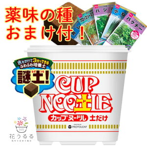 _؂̃^l2܂܂^3 yJbvk[h y z5L |{y Jbvk[y ͔| ƒ؉ c vg[t S ͔|Lbg ͔|Zbg y    H R