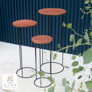 _3TCYZbg^t[X^h [ACAԑ (TP-174)] g ACA O  񂹐A  oXPbg v^[ ԑ䃉bN ˑ  Ǌ| v^[X^h   | 