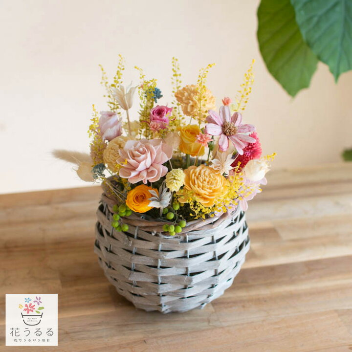 楽天市場】＼新発売／プリザーブドフラワーの花うるるアレンジ 