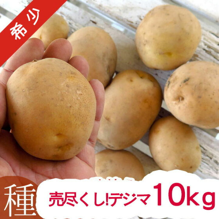 楽天市場】＼最終売り尽くし／じゃがいも 種イモ「デジマ 10kg」(長崎 