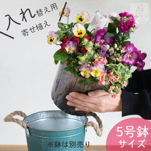 ̔ɃZbg邾yւpzg Ԃ 񂹐A 5 pJbvA i y ȒP ւ Ci[ Ci[  t[Mtg     