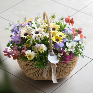 yI[_[\Ezu^MUO Ԃ񂹐A(MTCYv(MUO 񂹐A ʔ  K[fjO | Mtg } hV̓ nEB H 9 10