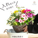 お持ちの鉢にセットするだけ【入れ替え用】中身だけ 花うるる 寄せ植え ブリキプランター 交換用カップ植え 完成品 手軽 簡単 植え替え 入れ替え インナー ライナー 玄関 フラワーギフト 女性 母 花 おしゃれ 鉢植え 鉢花 ガーデニング 屋外 寄植え 生花 鉢 春 夏 秋 冬