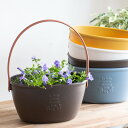 ＼猛暑でも育つ／ 這性トレニア 花うるる 寄せ植え ハンディプランター【シンプル】(カタリーナ スーパートレニア 栄養系 寄せ植え 夏ギフト お中元 サマーギフト フラワー ギフト ガーデニング セット 贈り物 鉢 誕生日 バスケット 限定 新築祝い 鉢植え 珍しい