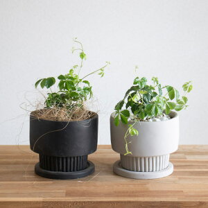 _ĂCeA^VK[oCA(󂯎Mt)yAV{gz ( ~[~ y S CeAO[ vc A 񂹐A ϗtA c  v[g O