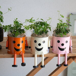 _ĂCeA^Ԃ MtgɂyuL}×VK[oCz(y S CeAO[ vc A 񂹐A ϗtA c  v[g O[  c 