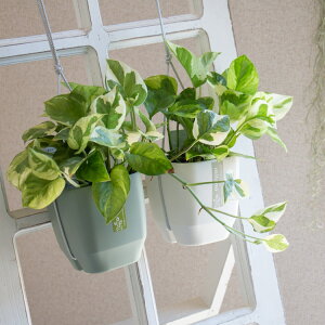 _ĂCeA^|gX Gh̃nMO|bg 4483 (AbvEFA ݂蔫 ݂艺 RpNg y S CeAO[ vc A 񂹐A ϗtA c 