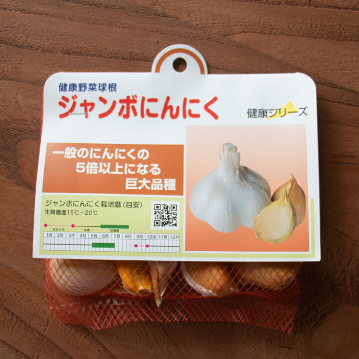 楽天市場】1片でこの大きさ！「 早生 ジャンボニンニク 種 (国産) 5片 
