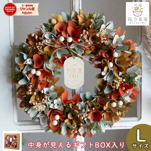 [X hCt[ [A[XJ[[t hw646-a]a34cm(  Mtg v[g a nEB  I[V[Y H ~ ʔN  hA O   i NX}X hC t