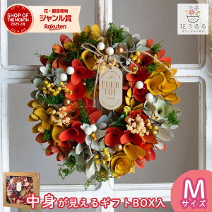 [X hCt[ [A[XJ[[t hw646-b]a26cm( Mtg v[g a nEB  I[V[Y H ~ ʔN  hA O   i NX}X hC t