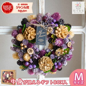 [X hCt[ [َq̉Ƃ̖ hw649-b]a23cm( Mtg v[g a nEB  I[V[Y H ~ ʔN  hA O   i NX}X hC t