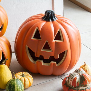 nEB G Cgy܂܂邩ڂ M hw626zP3 dr 2{ ʔ(nEB[ Halloween Mtg v[g fBXvC u  l` IuWF  H ~ p[eB[  h