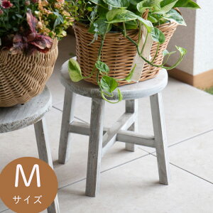 t[X^h uEbh ~j ԑ  MTCYvywrk21-M20z 20cm ؐ O  񂹐A K[fjOG  oXPbg ԑ䃉bN ˑ X^h   | bN 